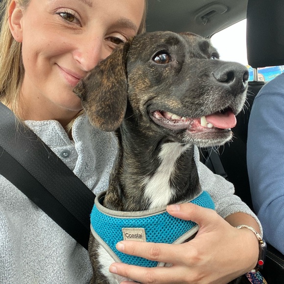 Meet your Posher, Alli - Picture 4 of 4